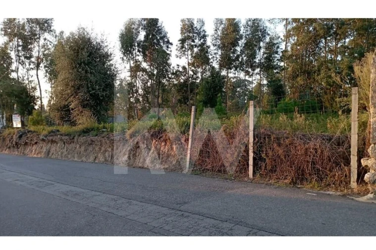 Terreno para Venda em São Miguel do Souto e Mosteirô Foto 4