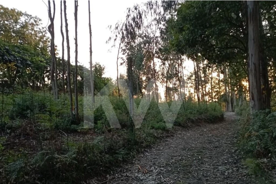 Terreno para Venda em São Miguel do Souto e Mosteirô Foto 13