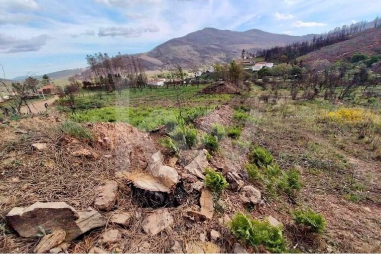 Terreno para Venda em Valhelhas Foto 6