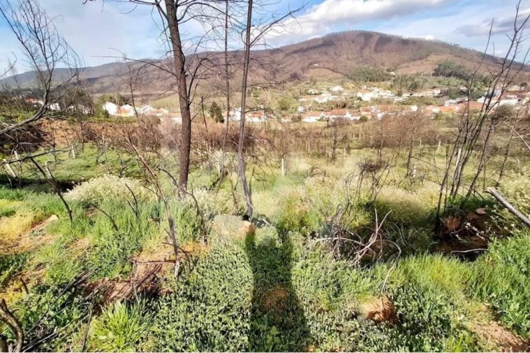 Terreno para Venda em Valhelhas Foto 3