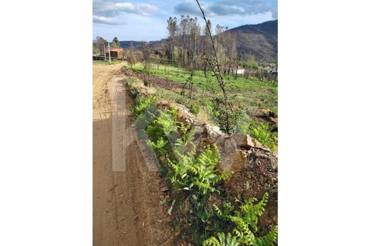 Terreno para Venda em Valhelhas Foto 4