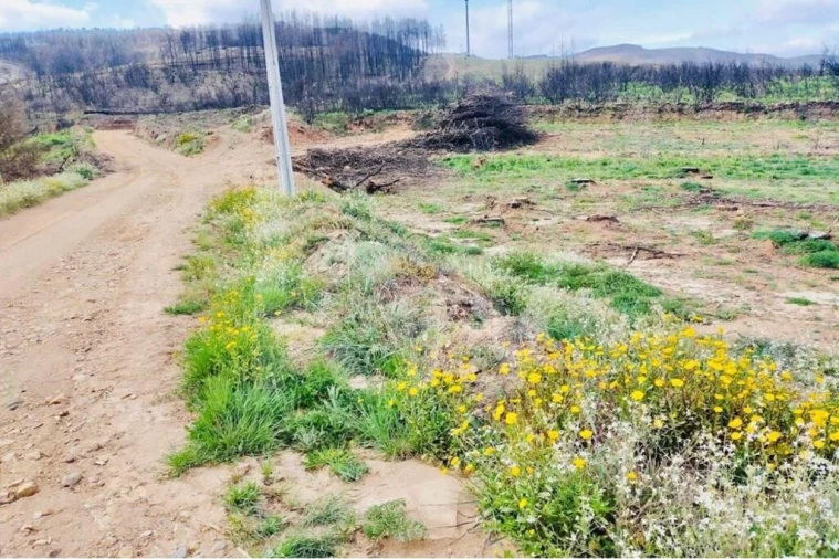 Terreno para Venda em Valhelhas Foto 2