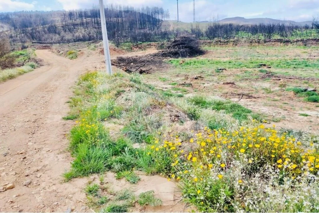 Terreno para Venda em Valhelhas Foto 2