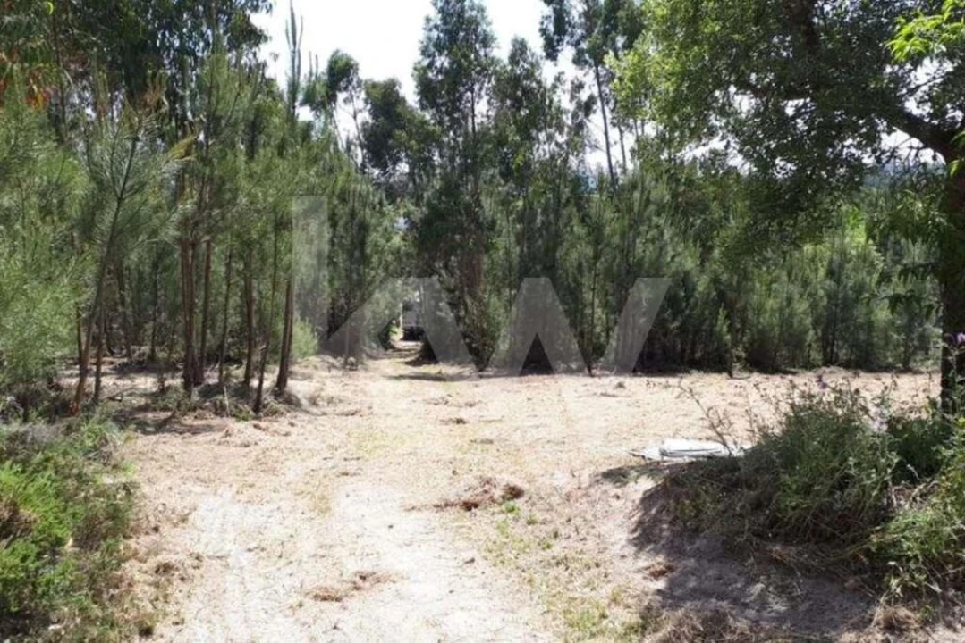 Terreno para Venda em Queluz e Belas Foto 4