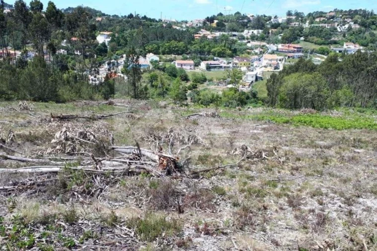 Terreno para Venda em Queluz e Belas Foto 6