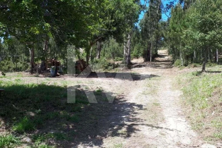 Terreno para Venda em Queluz e Belas Foto 2