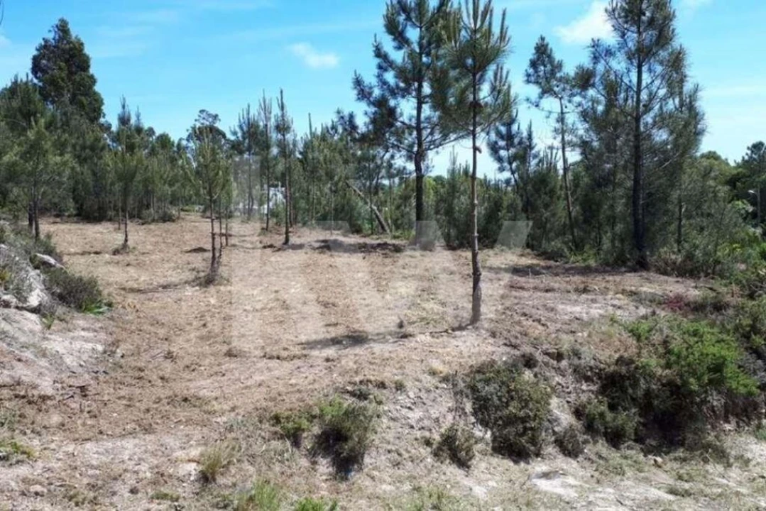 Terreno para Venda em Queluz e Belas Foto 5