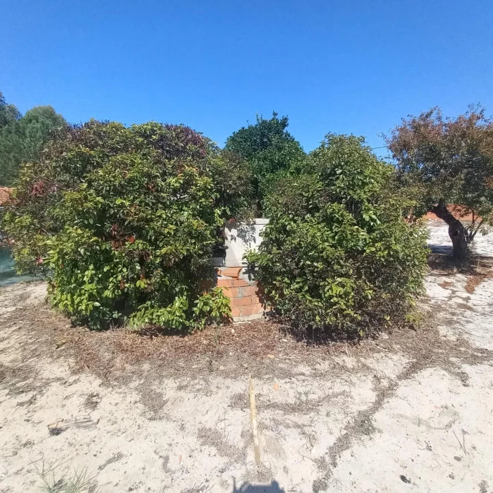 Terreno para Venda em Marinha Grande Foto 19