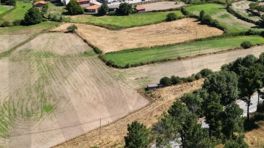 Terreno para Venda em Jarmelo São Miguel