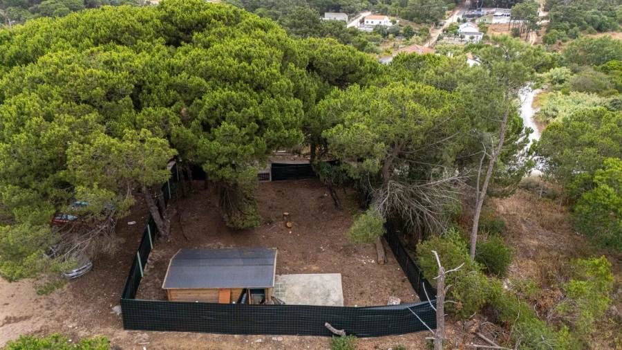 Terreno para Venda em Caparica e Trafaria Foto 14