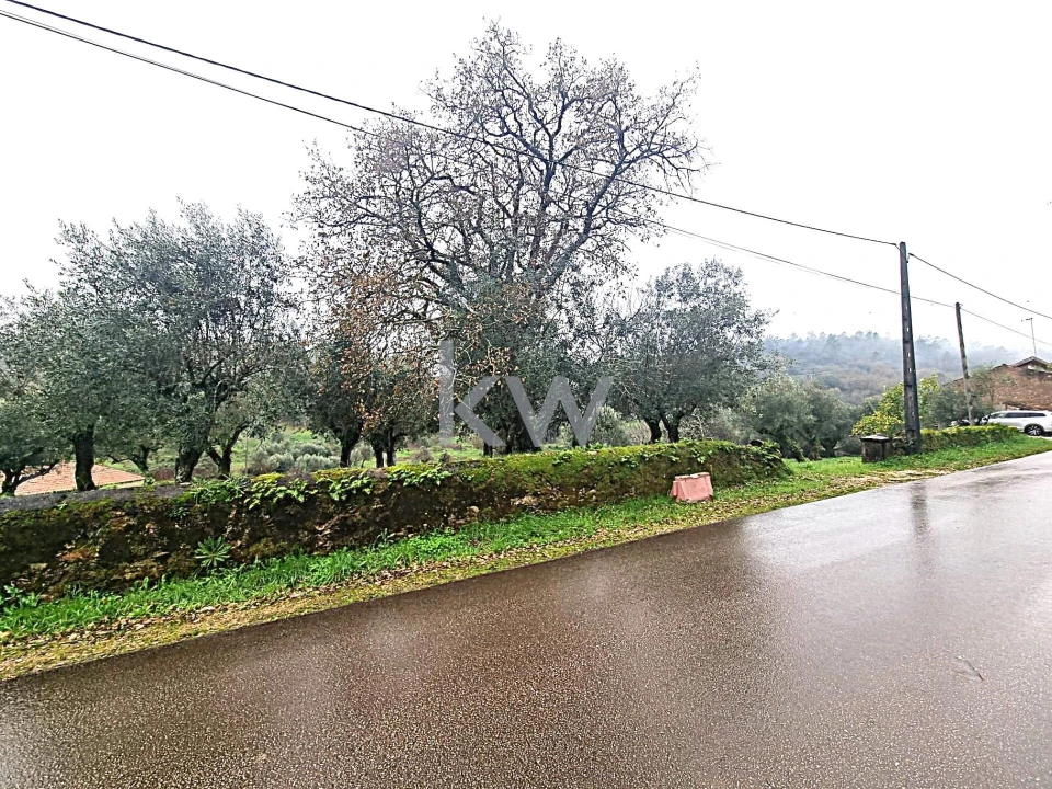 Quinta para Venda em Alvaiázere Foto 19