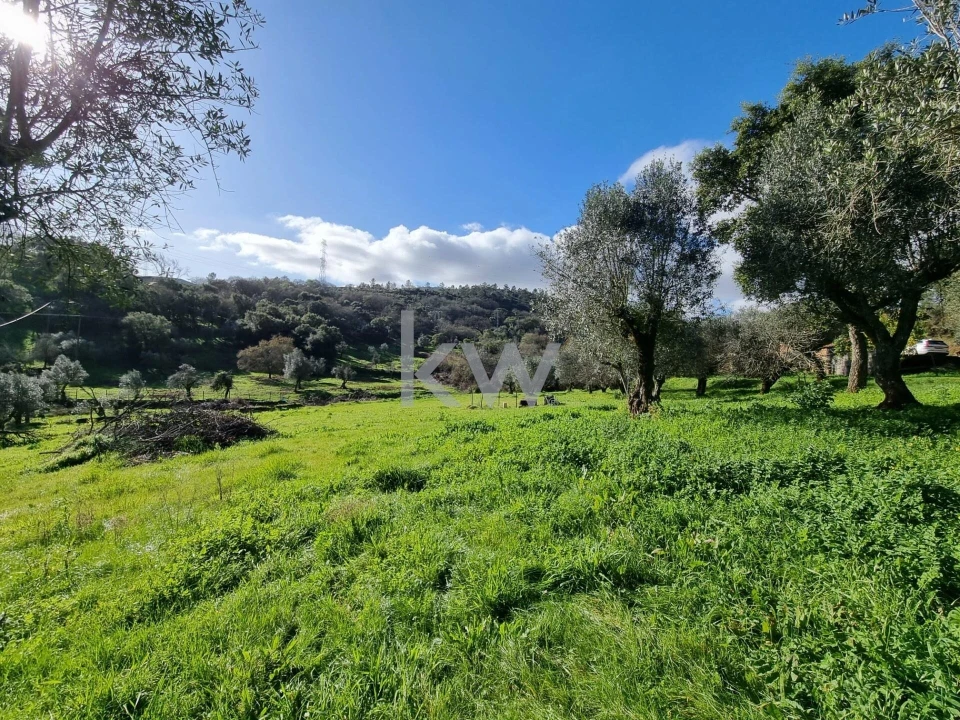 Quinta para Venda em Alvaiázere Foto 25