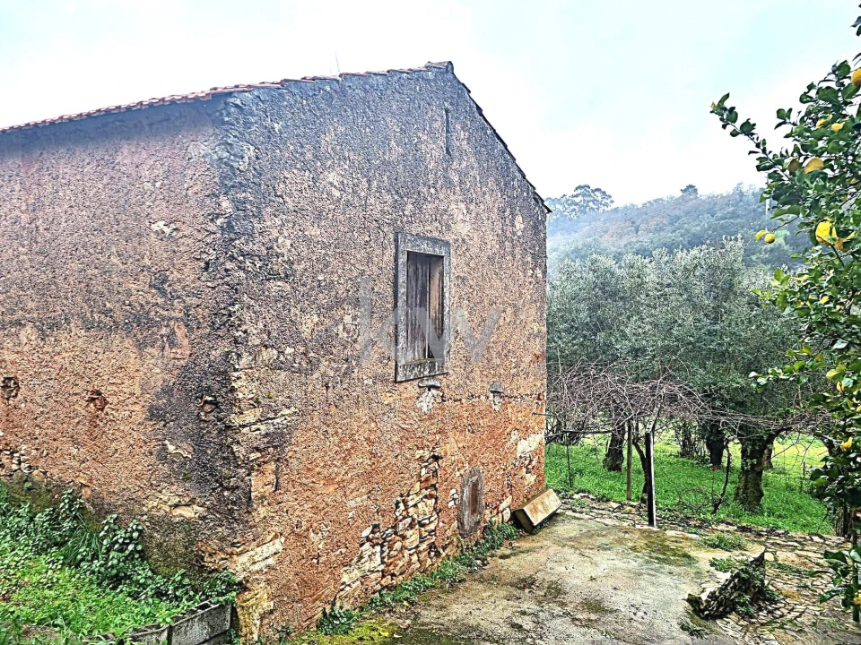 Quinta para Venda em Alvaiázere Foto 3