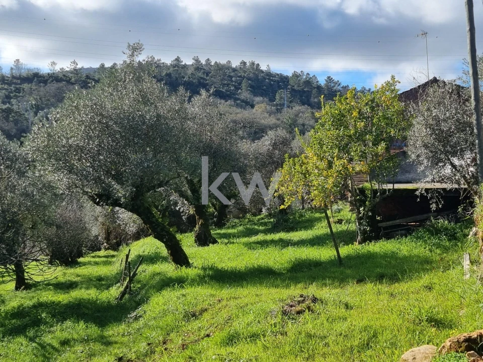 Quinta para Venda em Alvaiázere Foto 23