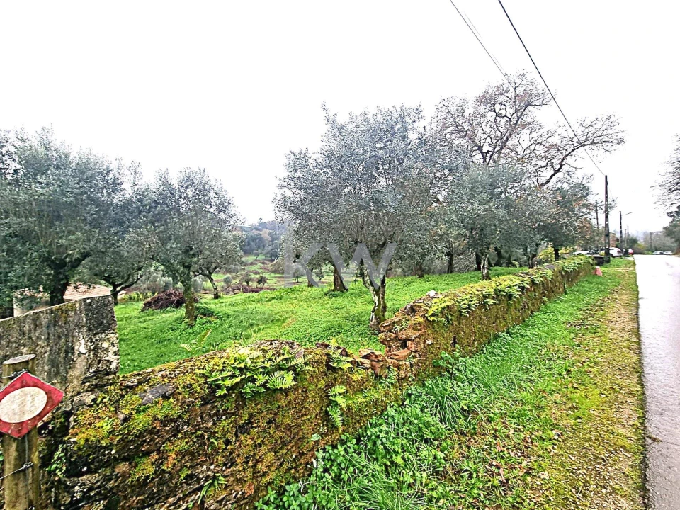Quinta para Venda em Alvaiázere Foto 16