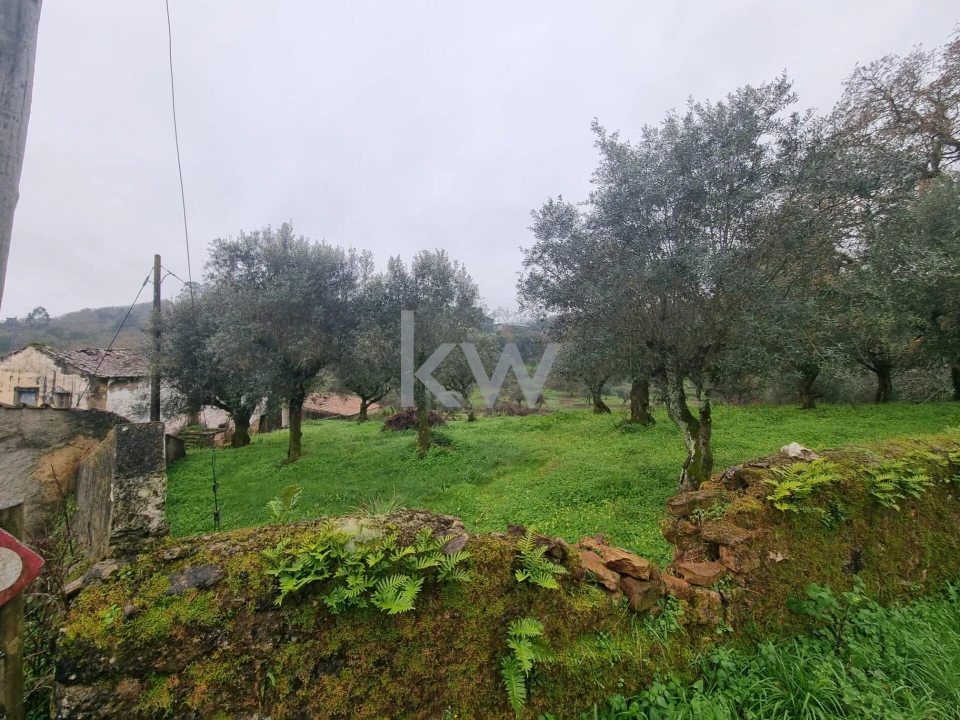 Quinta para Venda em Alvaiázere Foto 17