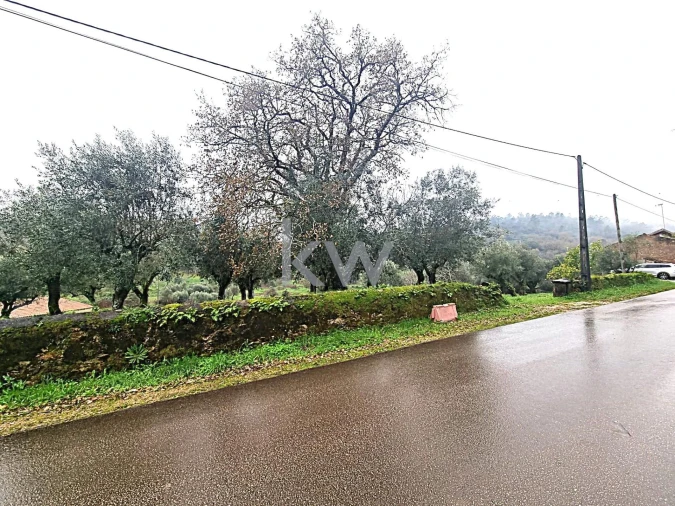 Quinta para Venda em Alvaiázere Foto 19