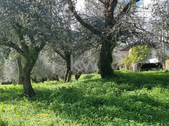 Quinta para Venda em Alvaiázere Foto 24
