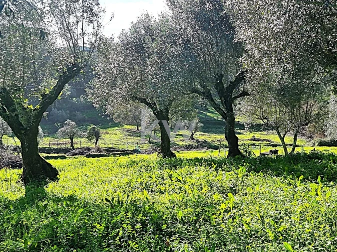 Quinta para Venda em Alvaiázere Foto 27