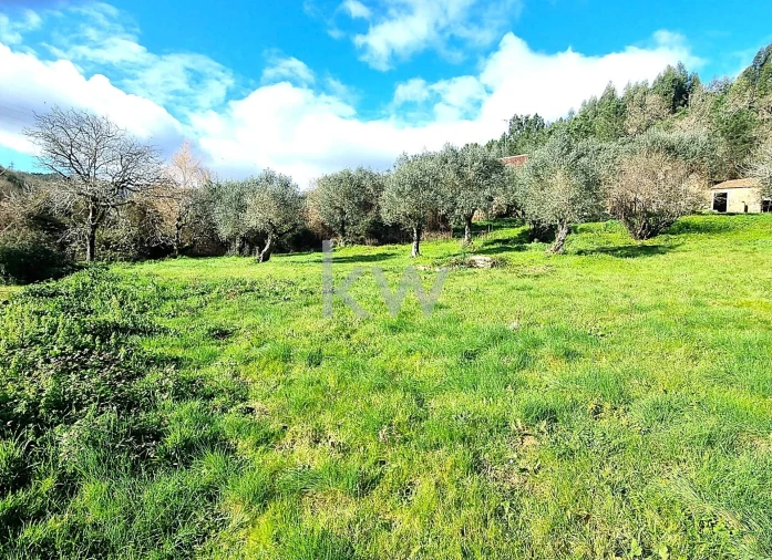 Quinta para Venda em Alvaiázere Foto 28
