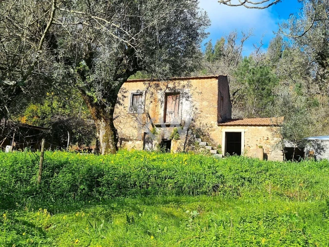 Quinta para Venda em Alvaiázere Foto 1