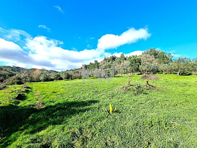 Quinta para Venda em Alvaiázere Foto 26