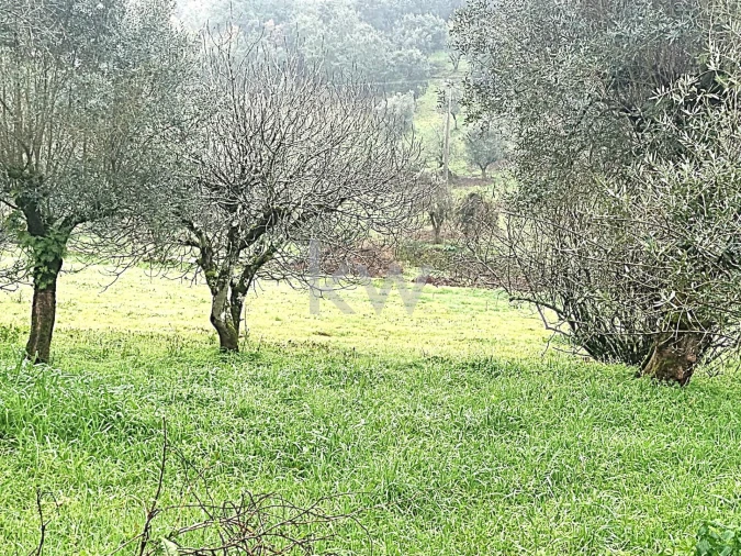 Quinta para Venda em Alvaiázere Foto 21