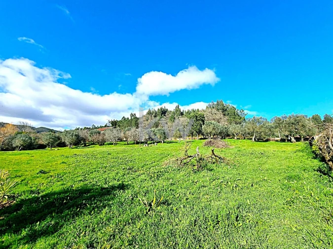 Quinta para Venda em Alvaiázere Foto 29