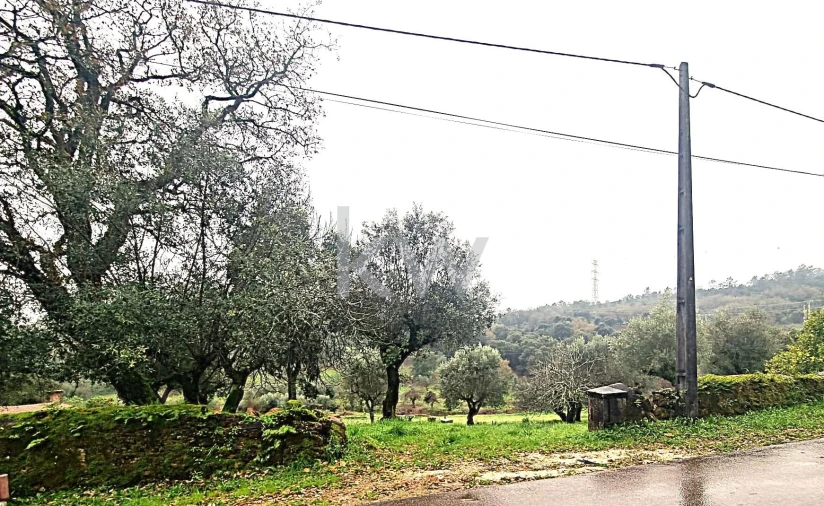 Quinta para Venda em Alvaiázere Foto 18