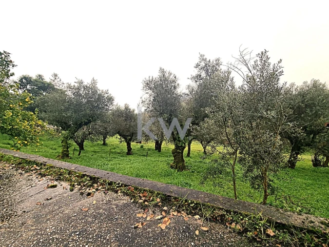 Quinta para Venda em Alvaiázere Foto 20