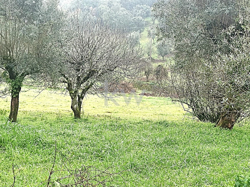 Quinta para Venda em Alvaiázere Foto 21
