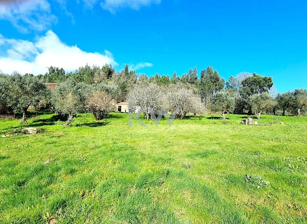 Quinta para Venda em Alvaiázere Foto 30