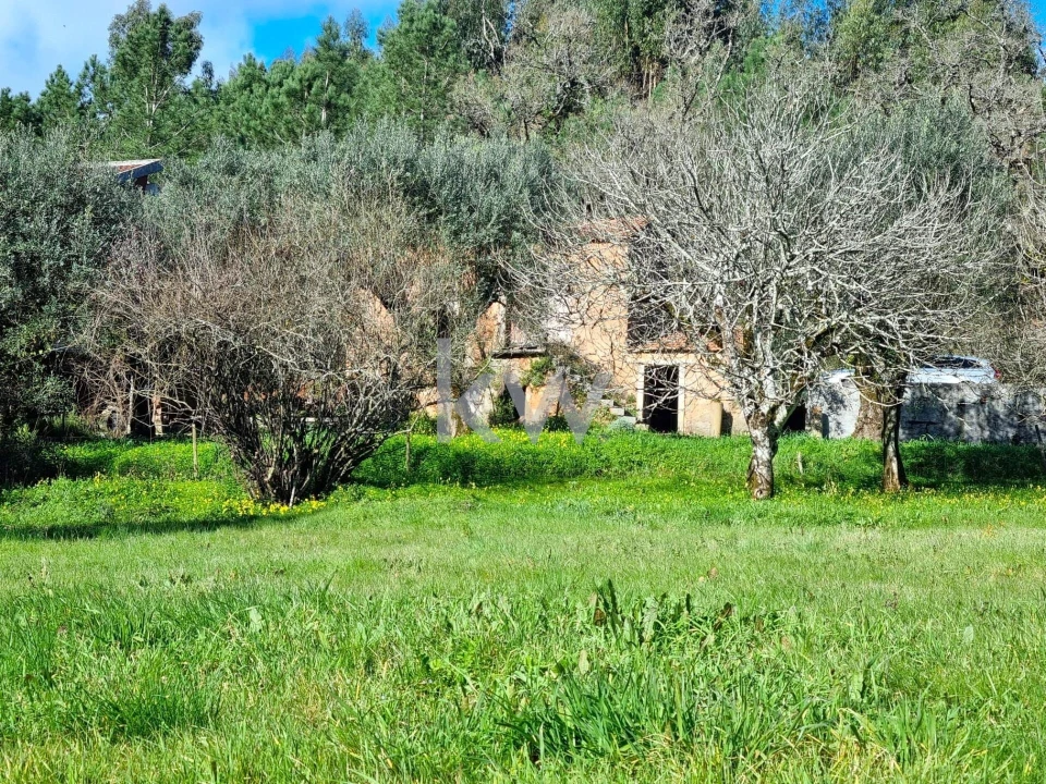 Quinta para Venda em Alvaiázere Foto 11