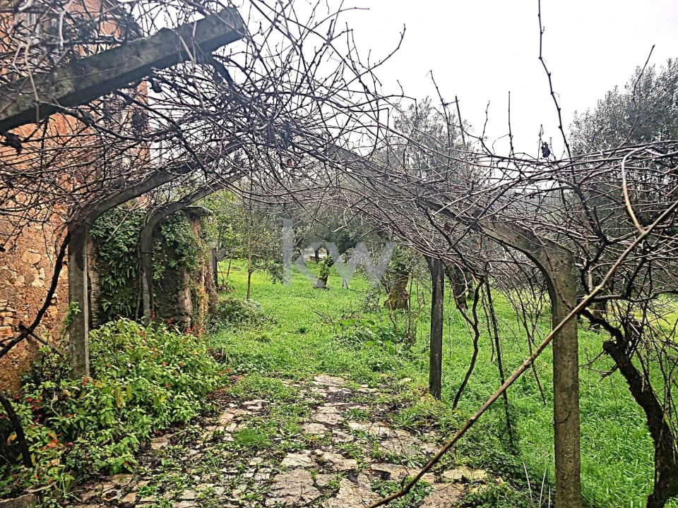 Quinta para Venda em Alvaiázere Foto 2