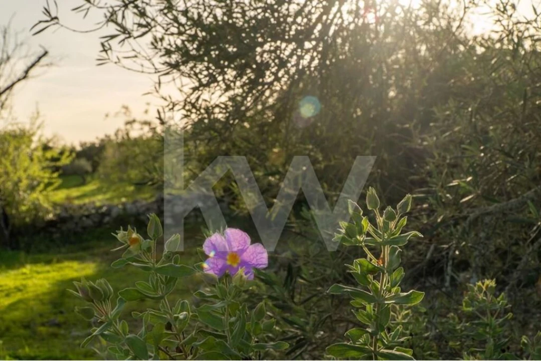 Moradia T3 para Venda em Luz de Tavira e Santo Estêvão Foto 11