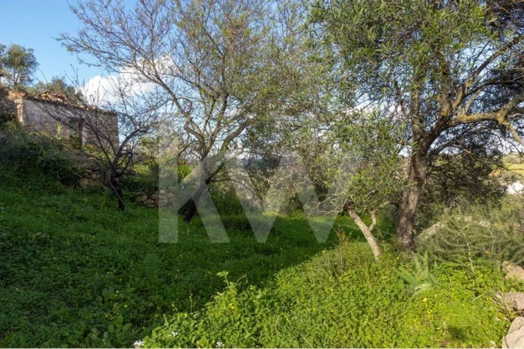 Moradia T3 para Venda em Luz de Tavira e Santo Estêvão Foto 24