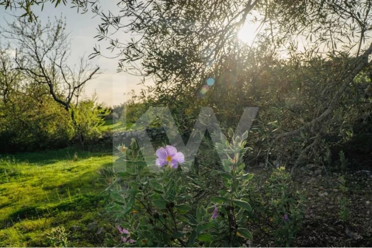 Moradia T3 para Venda em Luz de Tavira e Santo Estêvão Foto 10