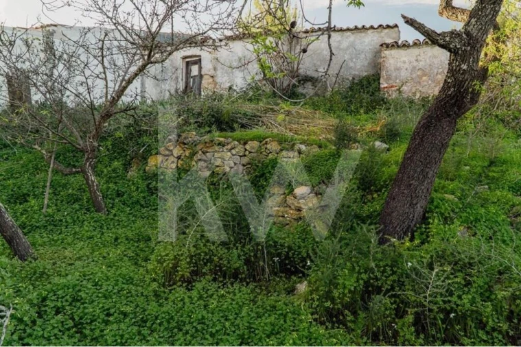 Moradia T3 para Venda em Luz de Tavira e Santo Estêvão Foto 8