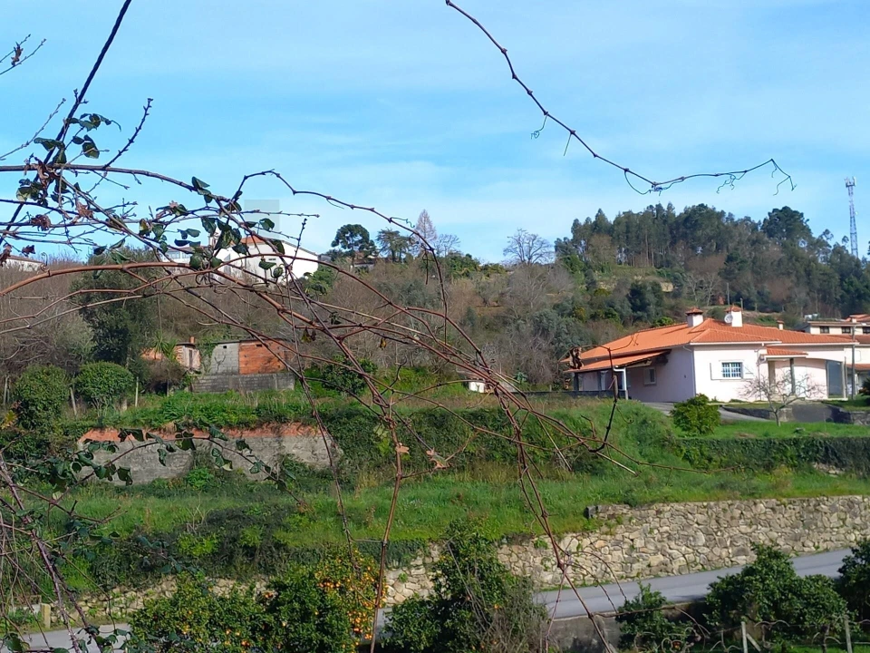 Terreno para Venda em Pessegueiro do Vouga Foto 2
