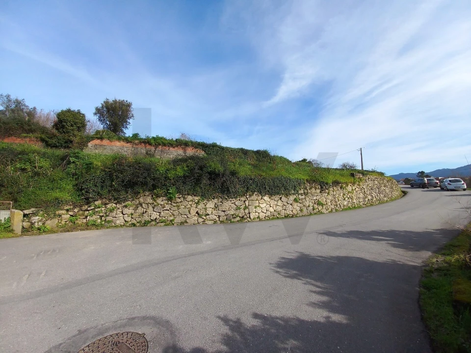 Terreno para Venda em Pessegueiro do Vouga Foto 5