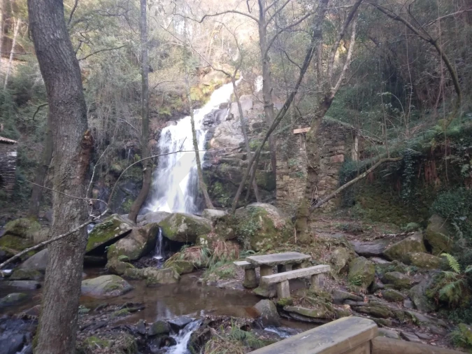 Terreno para Venda em Pessegueiro do Vouga Foto 12