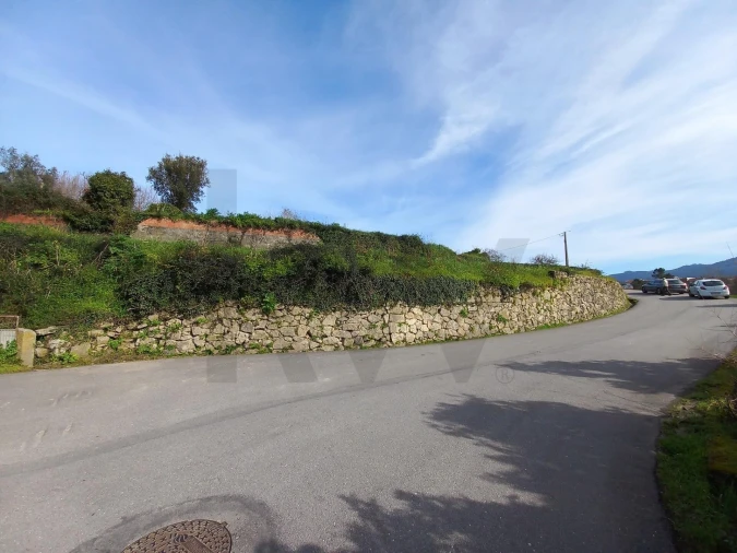 Terreno para Venda em Pessegueiro do Vouga Foto 4