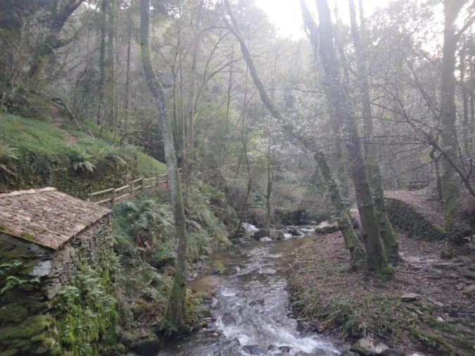 Terreno para Venda em Pessegueiro do Vouga Foto 13