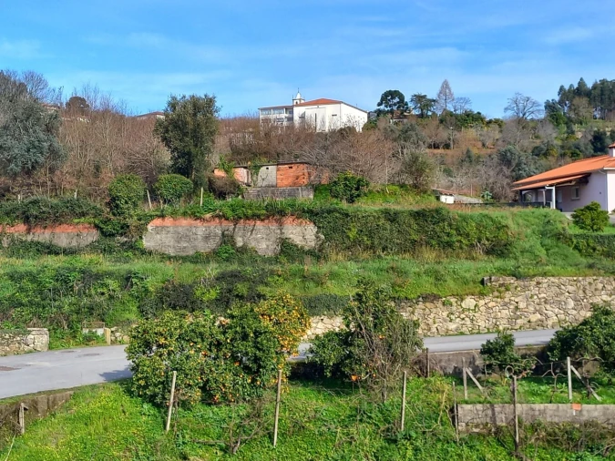 Terreno para Venda em Pessegueiro do Vouga Foto 3