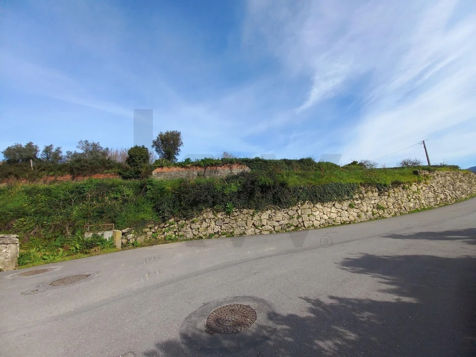 Terreno para Venda em Pessegueiro do Vouga Foto 7