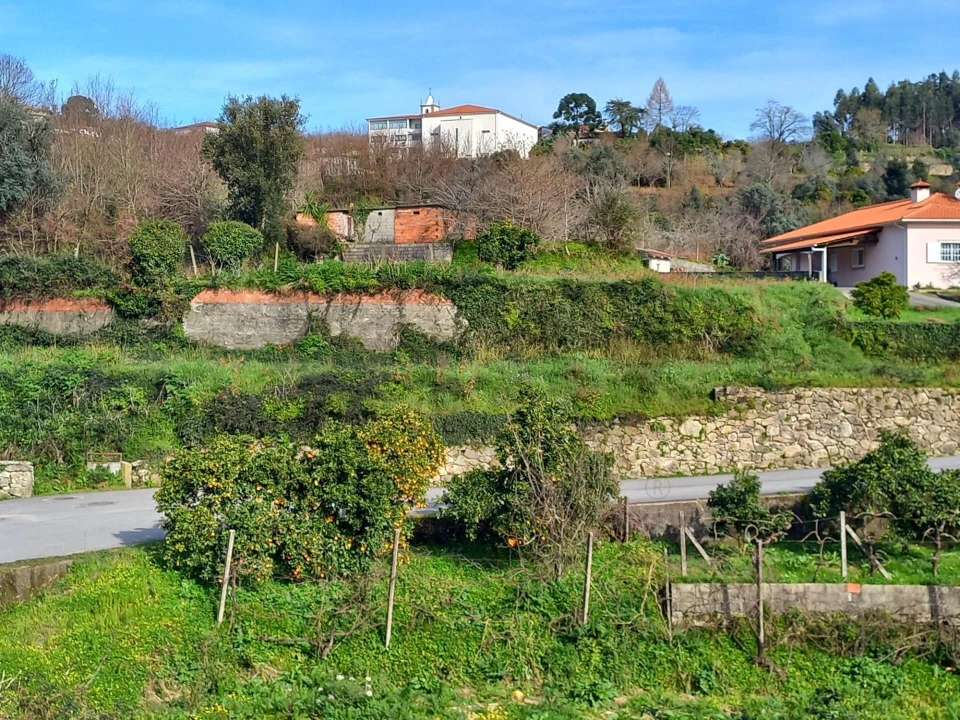 Terreno para Venda em Pessegueiro do Vouga Foto 10