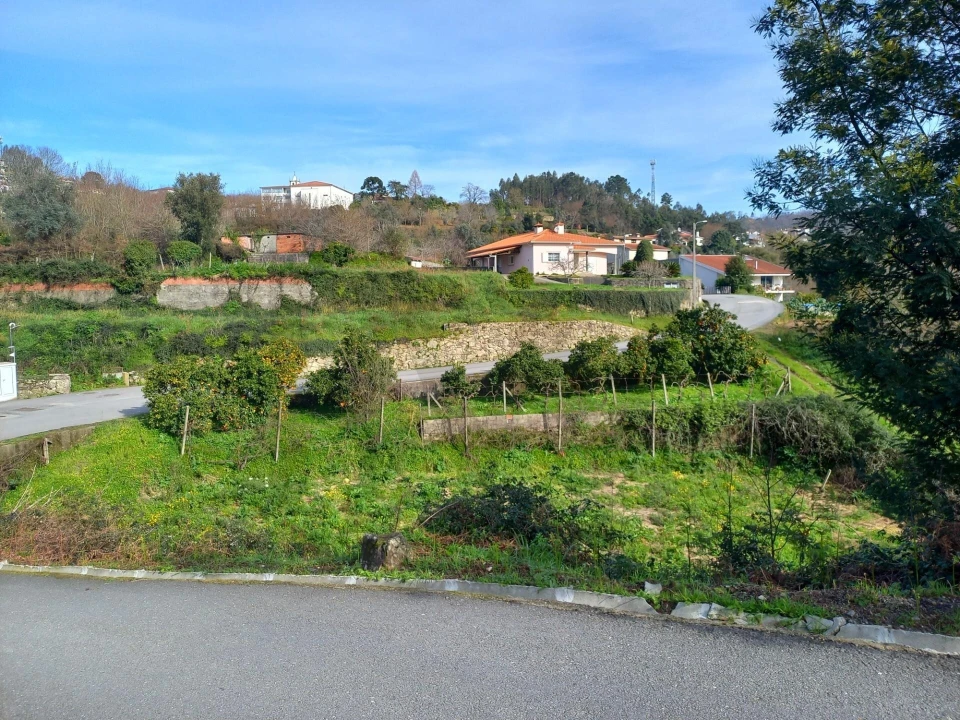 Terreno para Venda em Pessegueiro do Vouga Foto 9