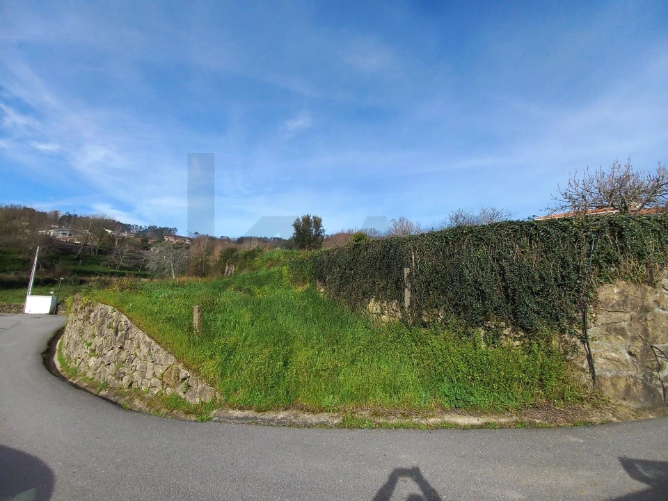 Terreno para Venda em Pessegueiro do Vouga Foto 1