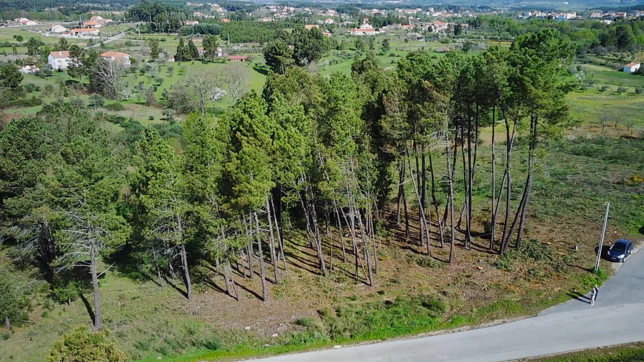 Terreno para Venda em Enxames Foto 19