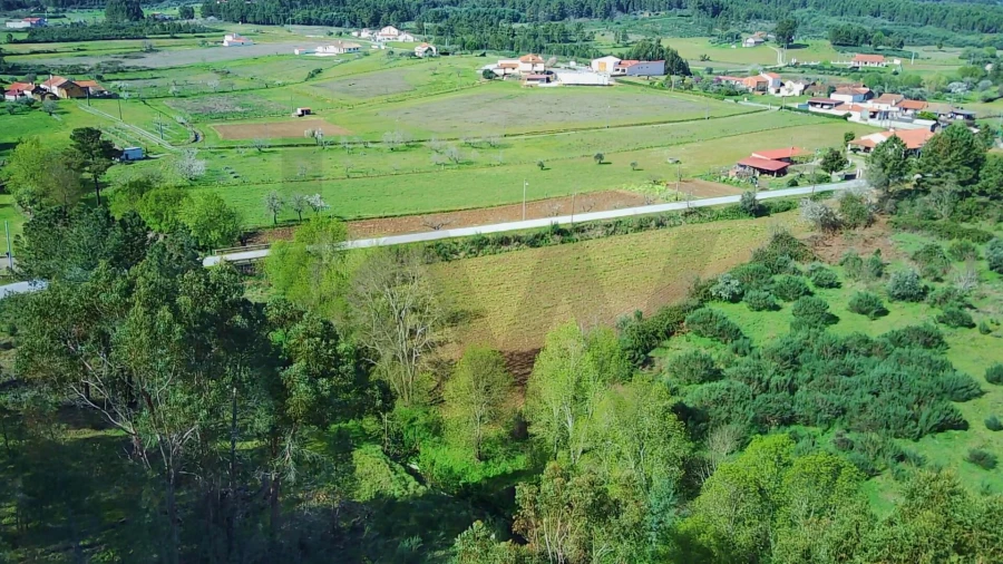 Terreno para Venda em Enxames Foto 15